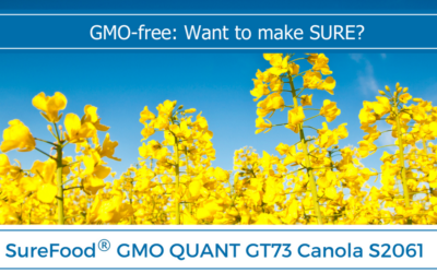 Increase in GMO Canola