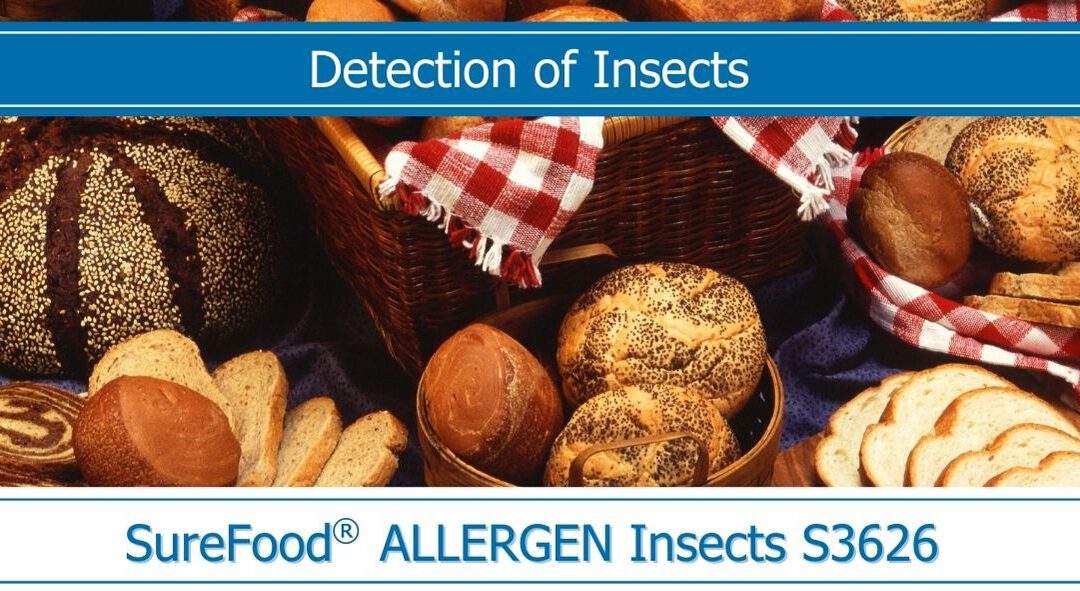 Insect Food Ingredient with Risks and Side Effects?