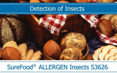 Insekten-Lebensmittelzutat mit Risiken und Nebenwirkungen?