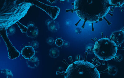 Nachweis des neuartigen Coronavirus (SARS-CoV-2)