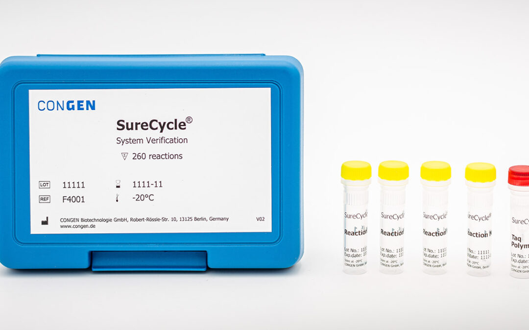 System Verification with SureCycle®