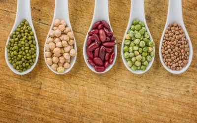 Legumes – nature’s versatile power plants